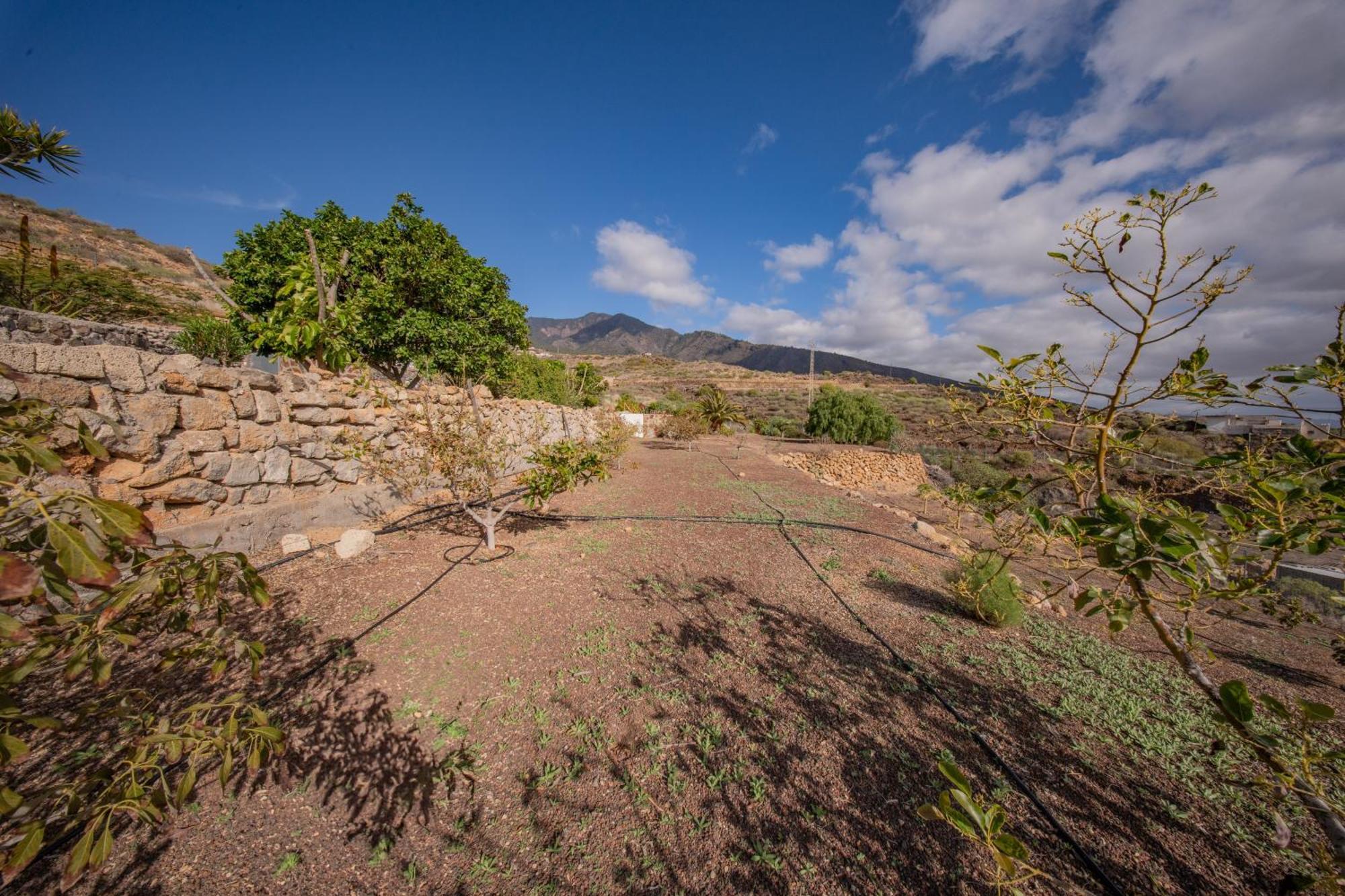 Casa Rural Buda Terra Santa Cruz de Tenerife Esterno foto